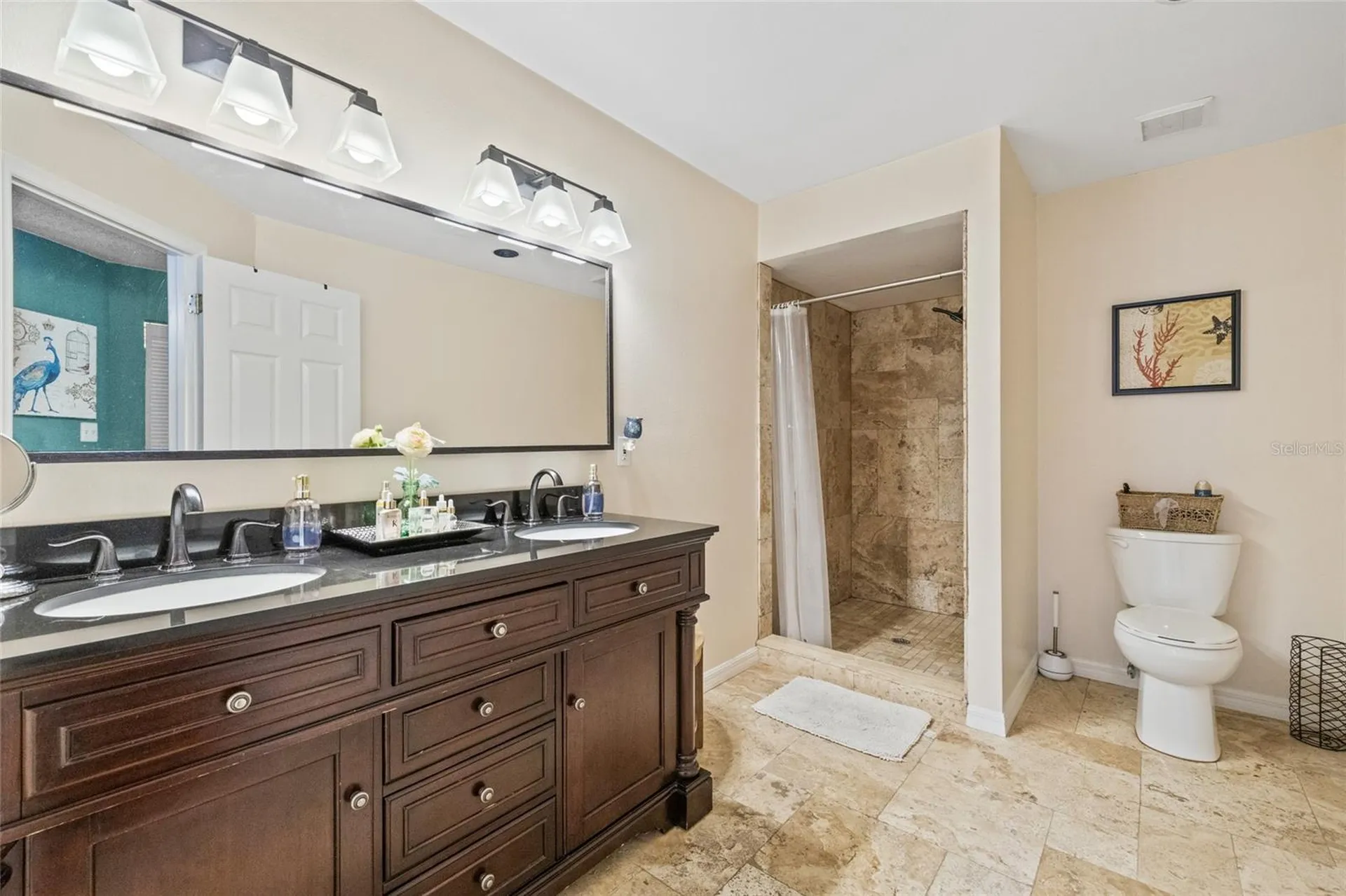 4265 Brentwood Park Creek Tampa FL 33624