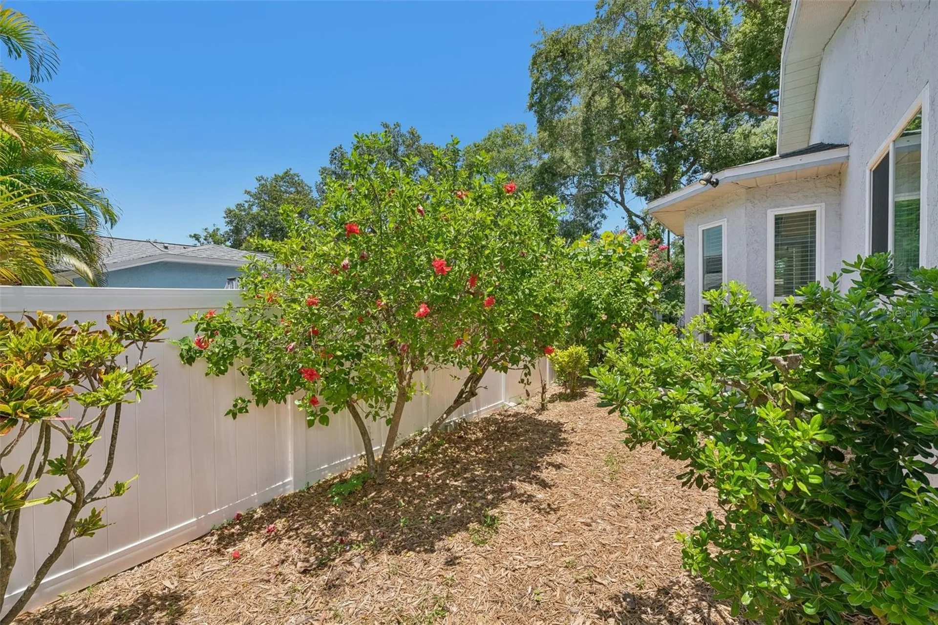2521 Gulfbreeze Circle Palm Harbor FL 34683