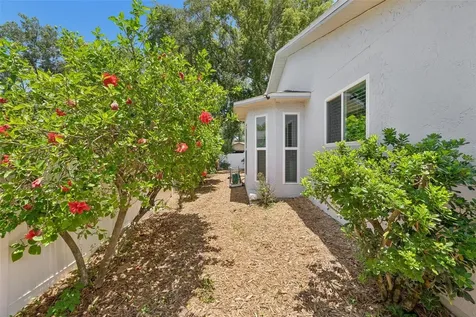 2521 Gulfbreeze Circle Palm Harbor FL 34683