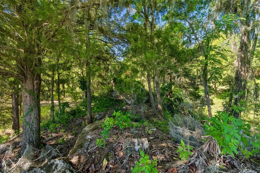 8792 S Steed Terrace Floral City FL 34436
