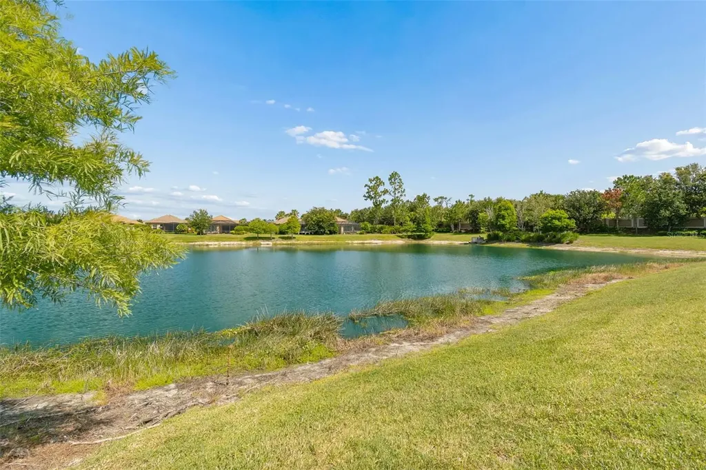 11749 Bitola Drive Odessa FL 33556