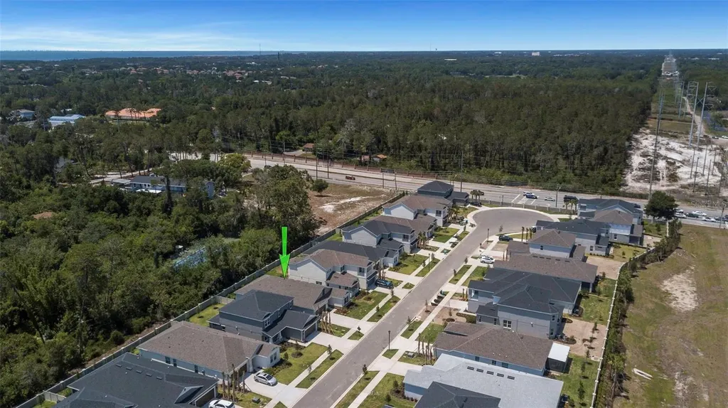 2676 Leafwing Court Palm Harbor FL 34683