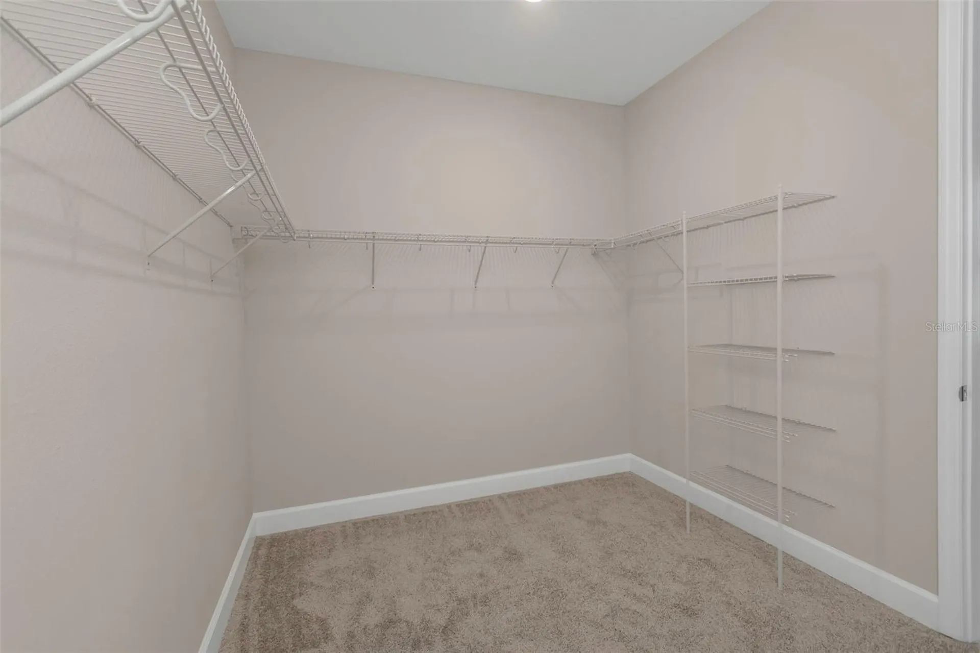 2676 Leafwing Court Palm Harbor FL 34683