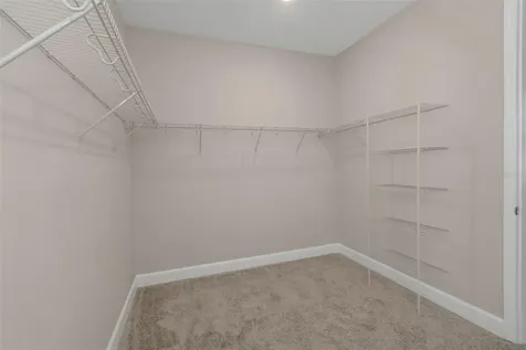 2676 Leafwing Court Palm Harbor FL 34683