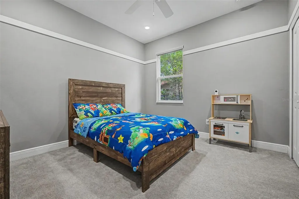 11882 Frost Aster Drive Riverview FL 33579