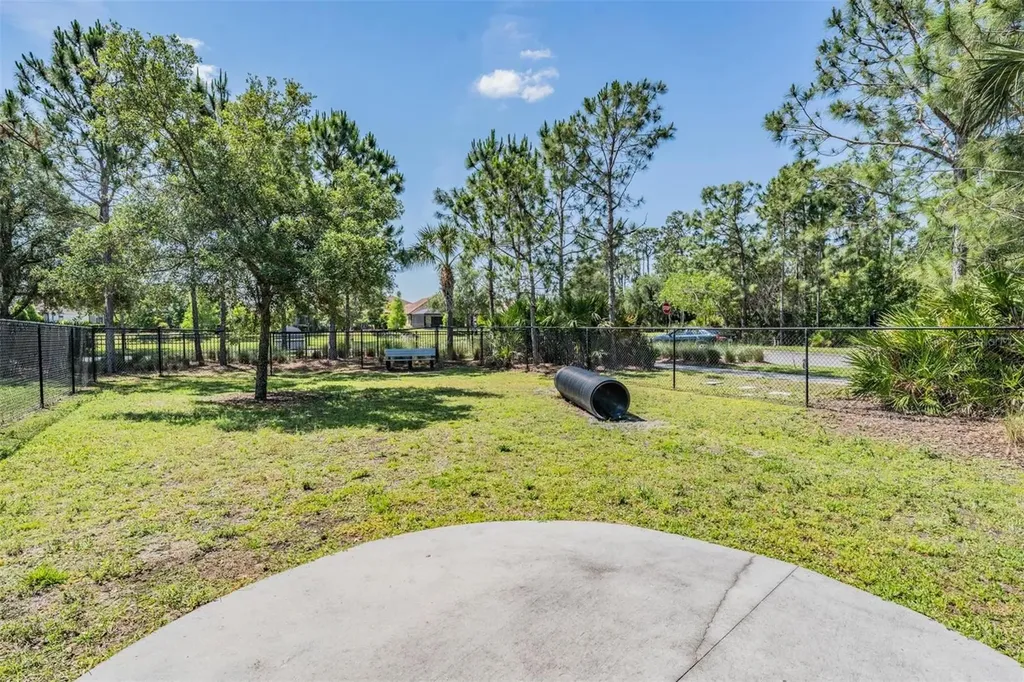 11882 Frost Aster Drive Riverview FL 33579