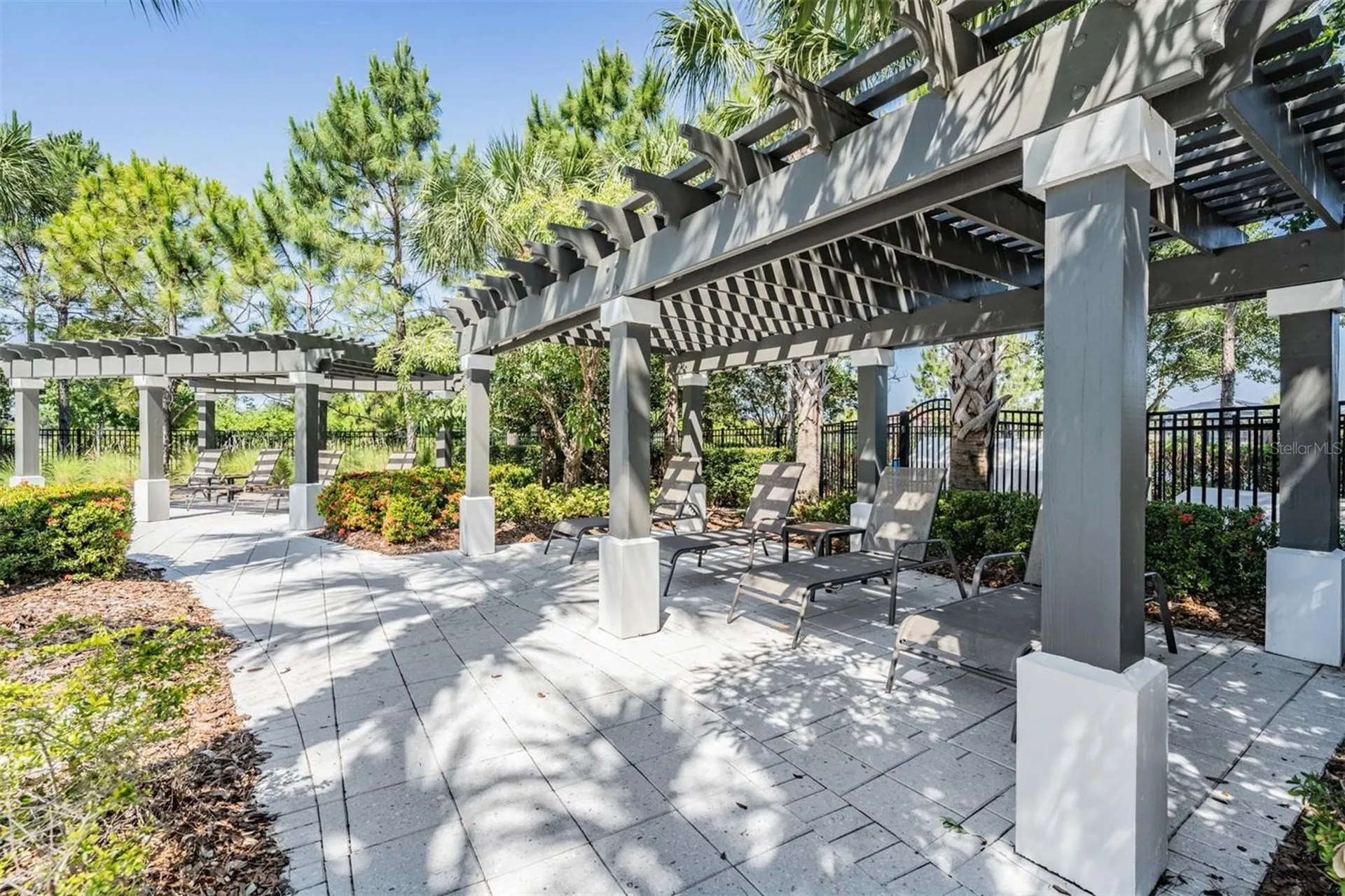 11882 Frost Aster Drive Riverview FL 33579