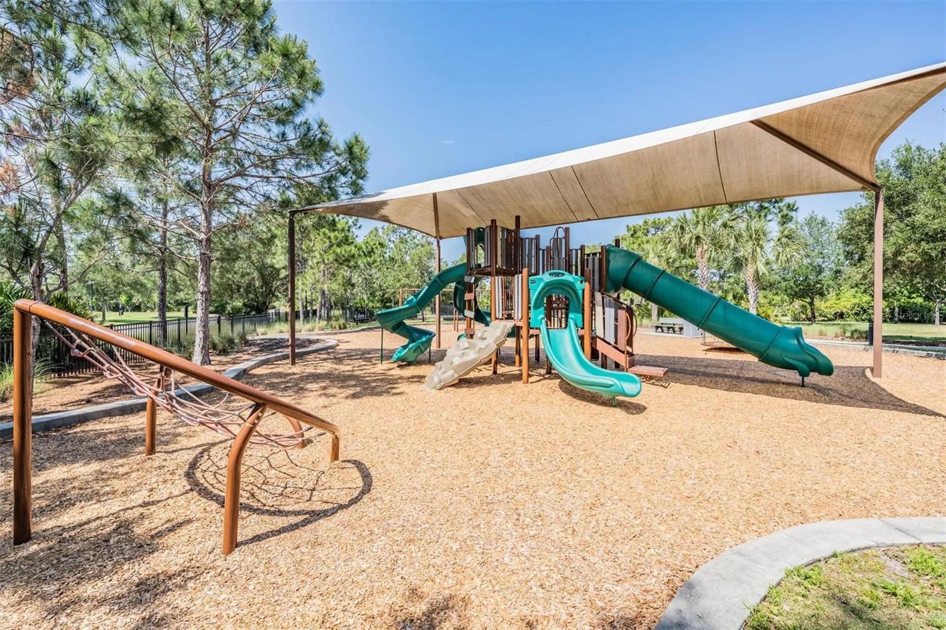11882 Frost Aster Drive Riverview FL 33579