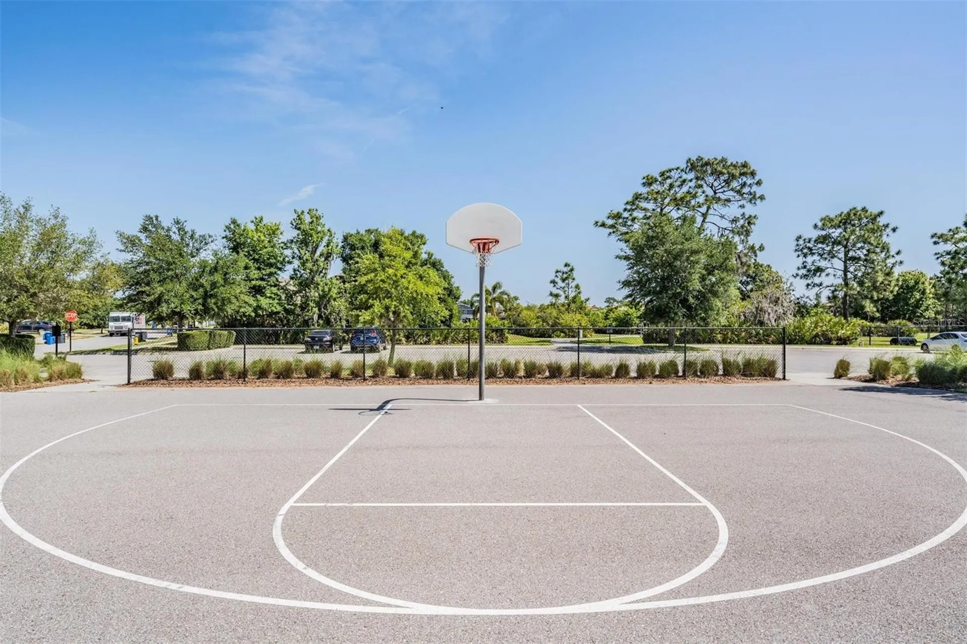 11882 Frost Aster Drive Riverview FL 33579