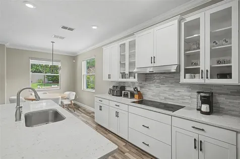 11882 Frost Aster Drive Riverview FL 33579