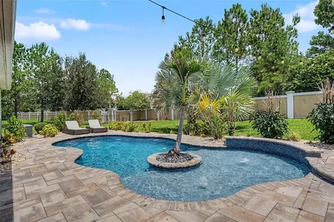11882 Frost Aster Drive Riverview FL 33579