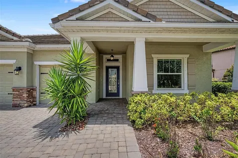 11882 Frost Aster Drive Riverview FL 33579