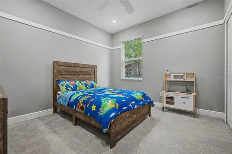 11882 Frost Aster Drive Riverview FL 33579