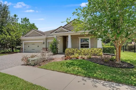 11882 Frost Aster Drive Riverview FL 33579