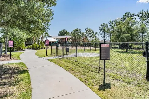 11882 Frost Aster Drive Riverview FL 33579