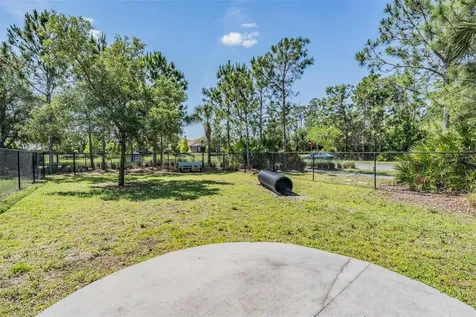 11882 Frost Aster Drive Riverview FL 33579