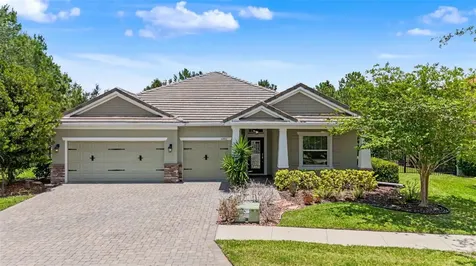 11882 Frost Aster Drive Riverview FL 33579