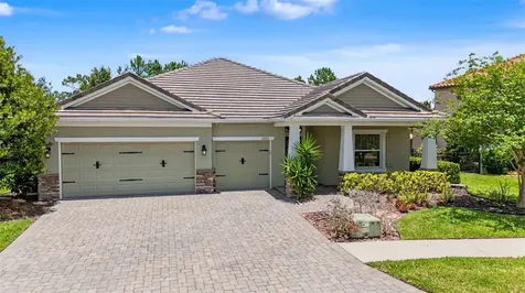 11882 Frost Aster Drive Riverview FL 33579