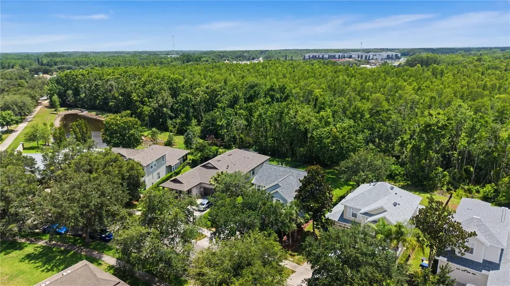 8137 Lagerfeld Drive Land O Lakes FL 34637