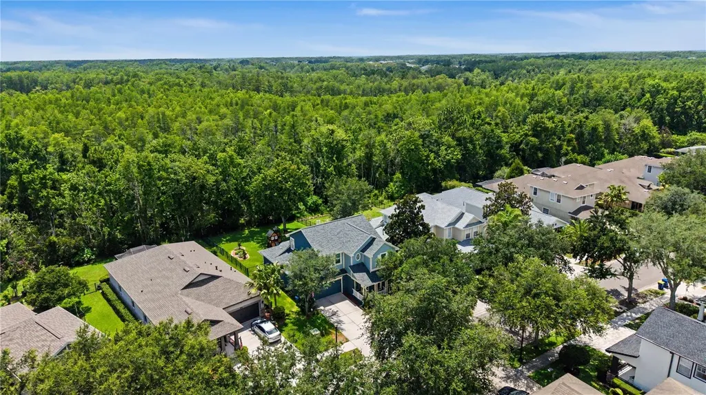 8137 Lagerfeld Drive Land O Lakes FL 34637