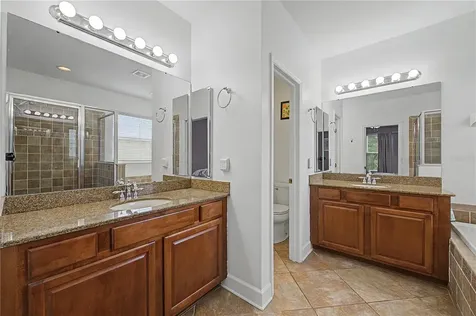 8137 Lagerfeld Drive Land O Lakes FL 34637