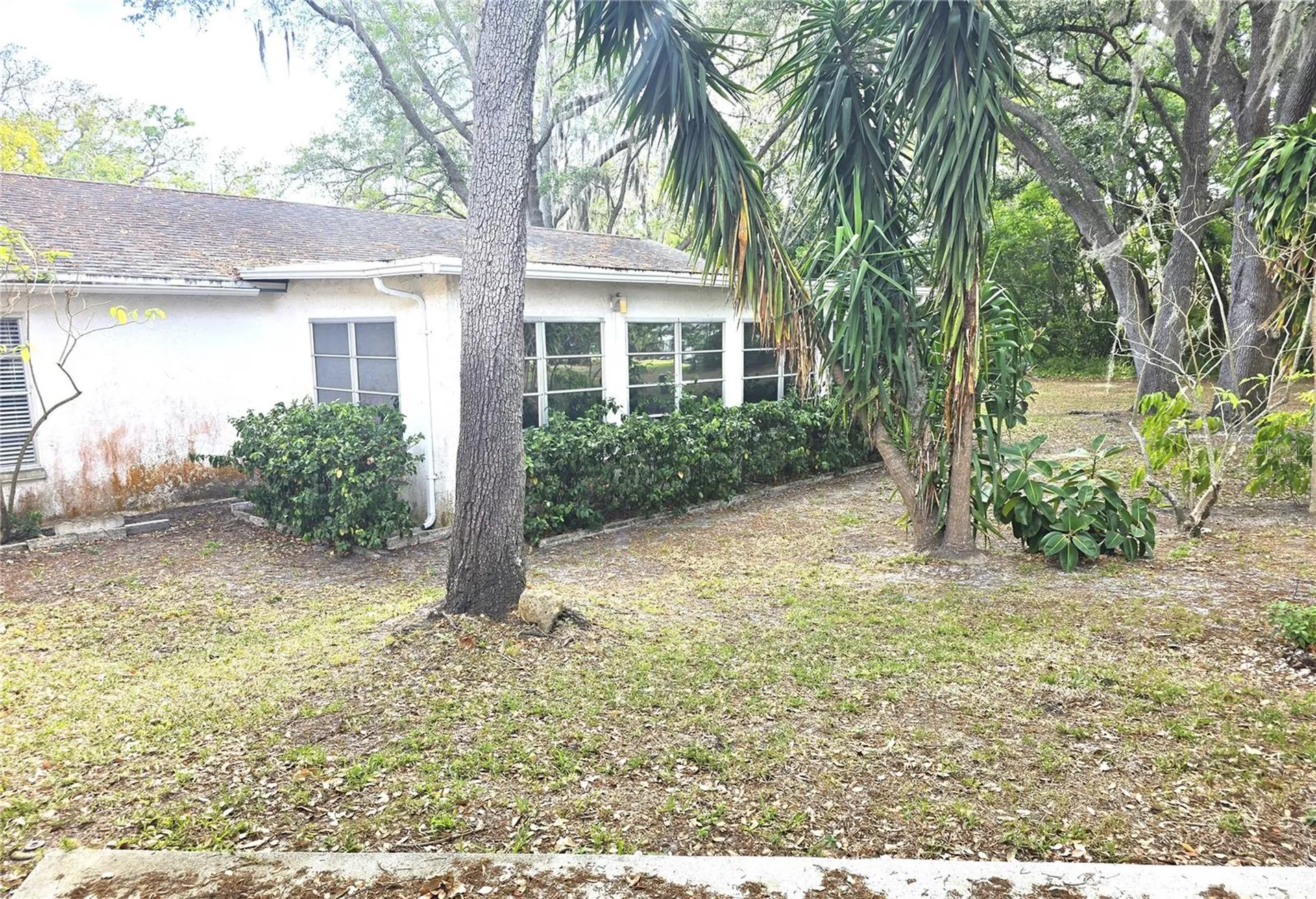 10641 Timber Lane Port Richey FL 34668