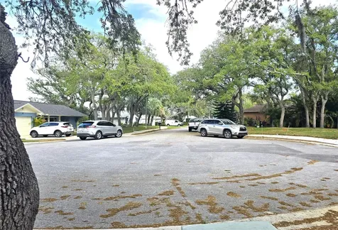 10641 Timber Lane Port Richey FL 34668