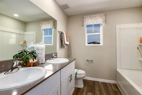 31685 Oyster Trellis Lane Wesley Chapel FL 33545