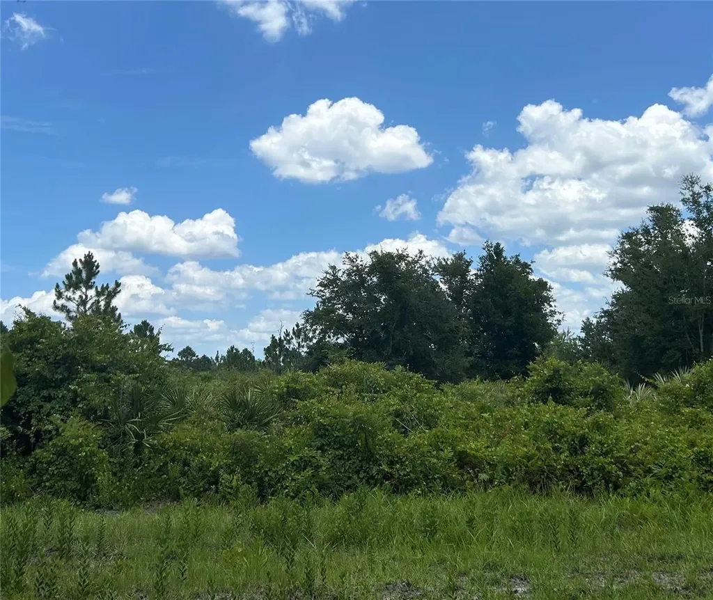 1671 Ford Road Mims FL 32754