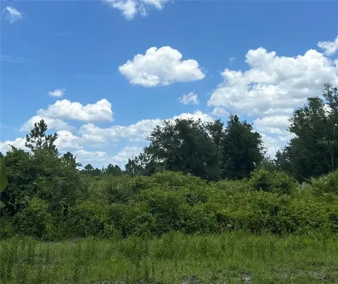 1671 Ford Road Mims FL 32754