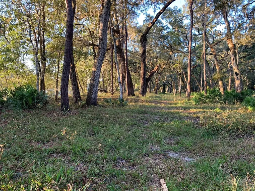 1305 NE 930th Street Old Town FL 32680
