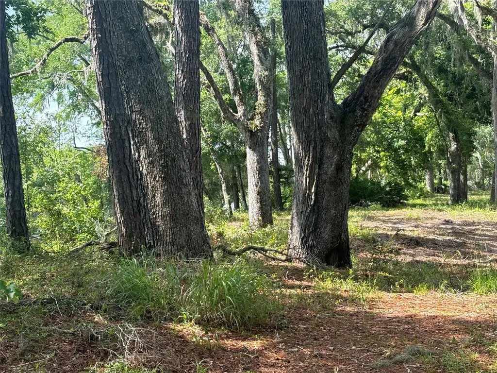 1305 NE 930th Street Old Town FL 32680