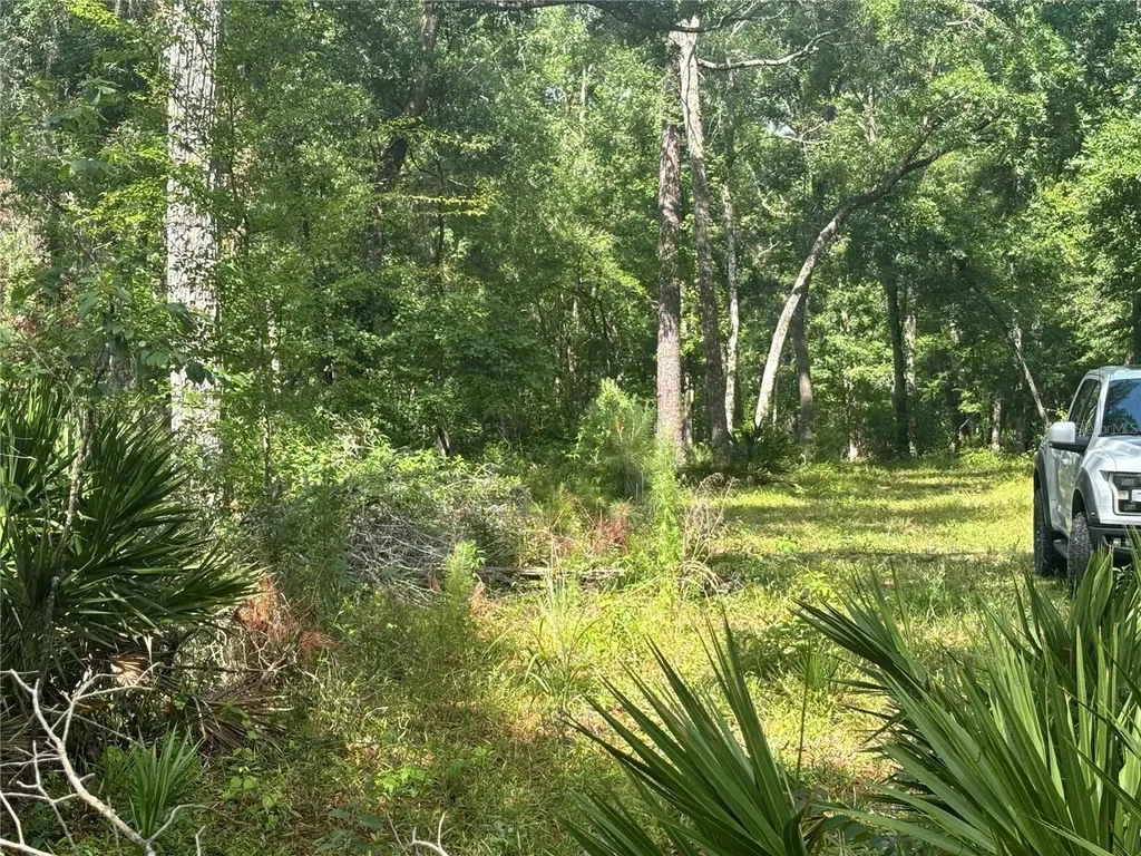 1305 NE 930th Street Old Town FL 32680