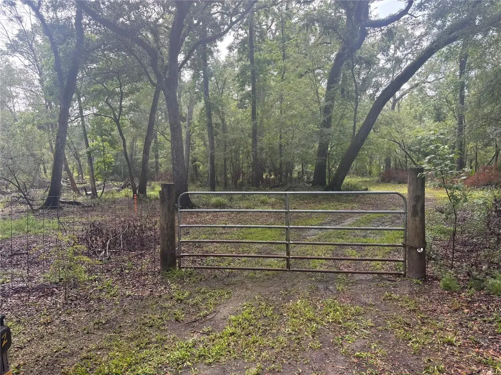 1305 NE 930th Street Old Town FL 32680