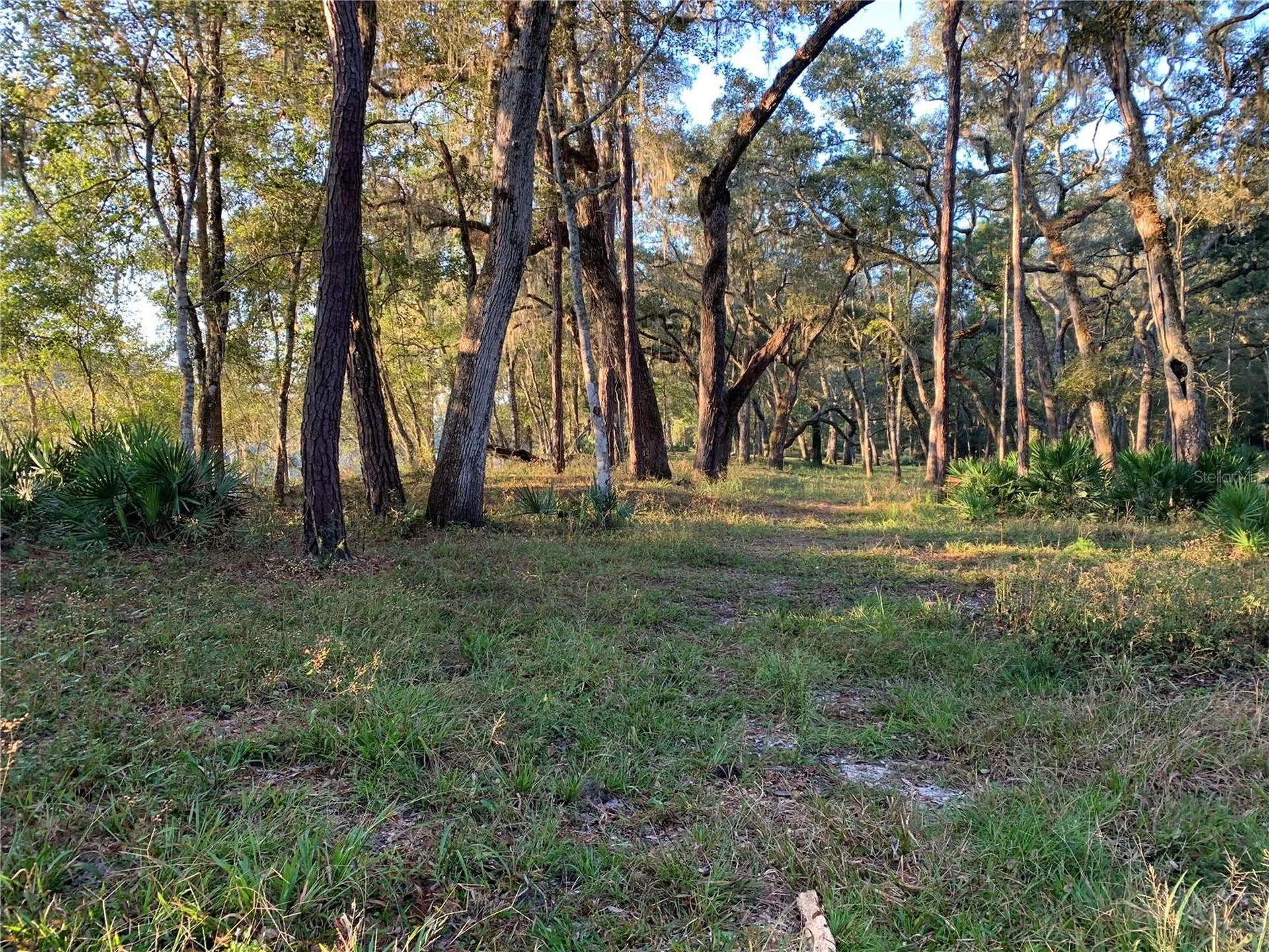 1305 NE 930th Street Old Town FL 32680