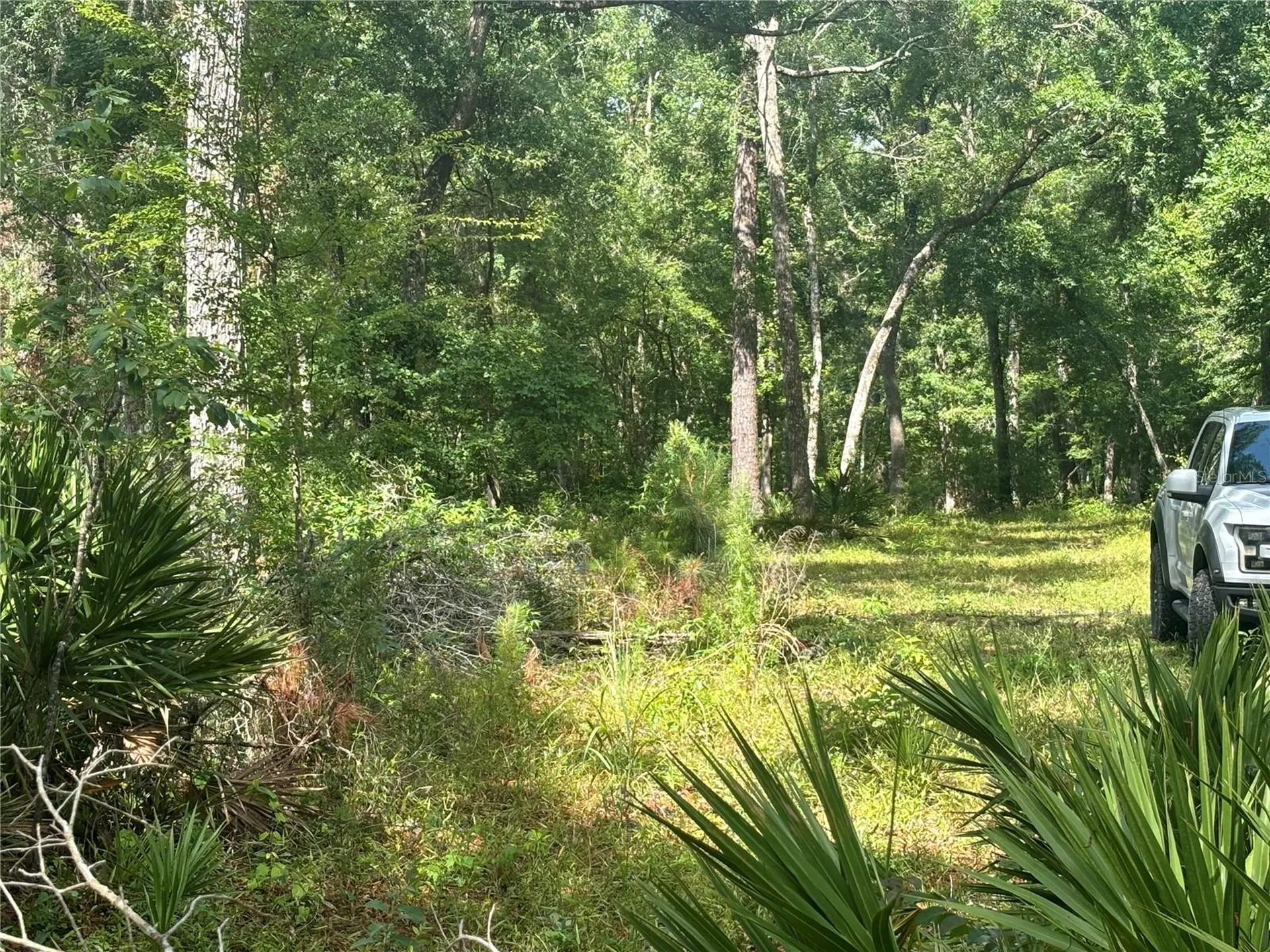 1305 NE 930th Street Old Town FL 32680