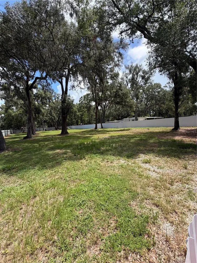 11310 Brightridge Drive Seffner FL 33584