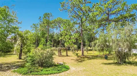 2016 W Melline Lane Lecanto FL 34461