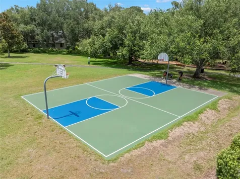 2332 Waterview Court Palm Harbor FL 34684