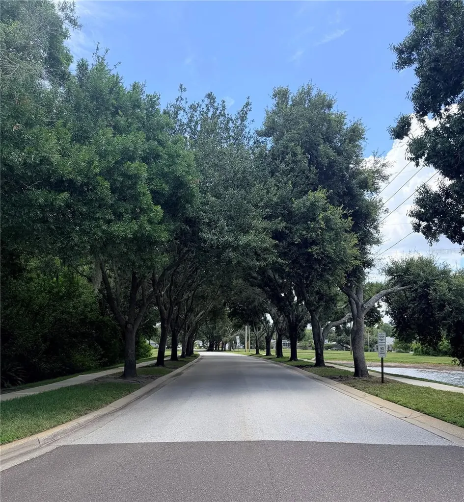442 Knight Drive Tarpon Springs FL 34688