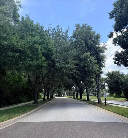 442 Knight Drive Tarpon Springs FL 34688