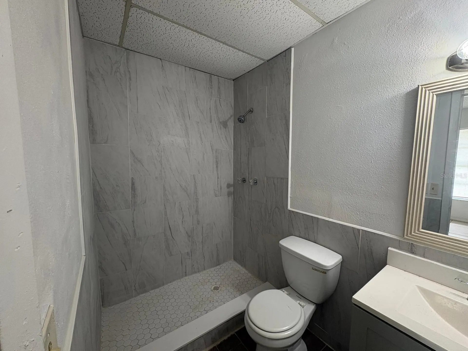 7923 Thrippence Lane Orlando FL 32822