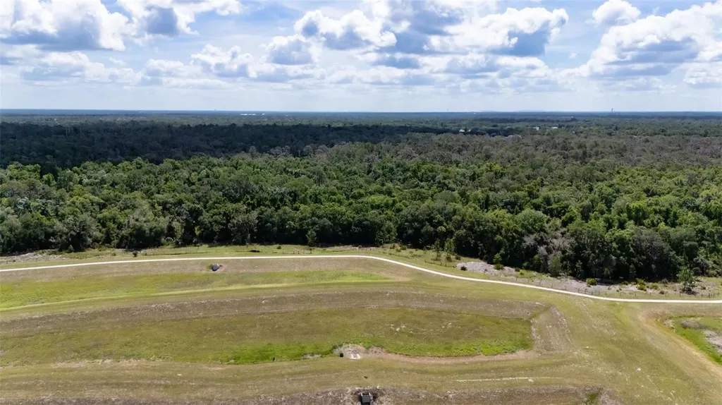 5805 Watercolor Drive Lithia FL 33547