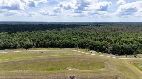 5805 Watercolor Drive Lithia FL 33547