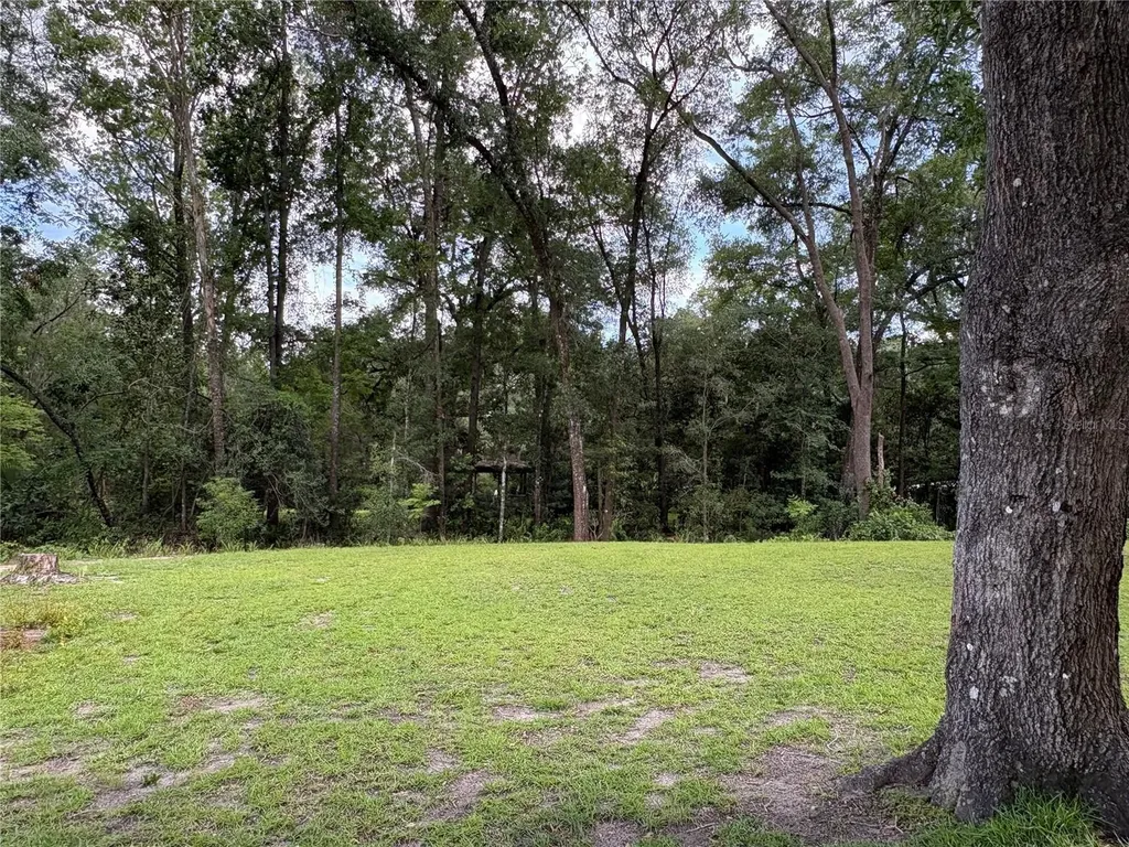 15190 NE 144th Street Fort Mc Coy FL 32134