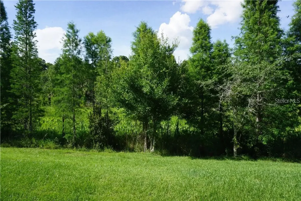 26543 Castleview Way Wesley Chapel FL 33544