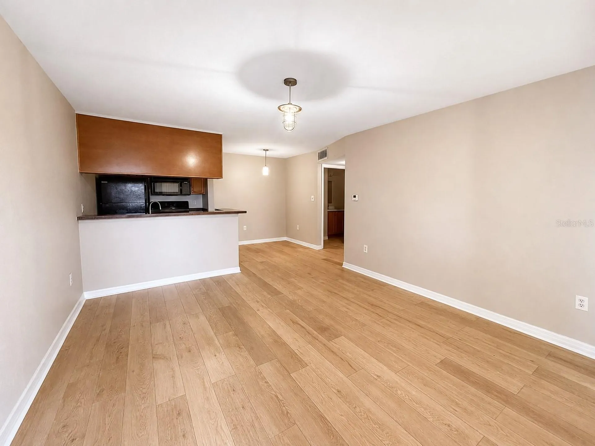 203 Lake Parsons Green Brandon FL 33511