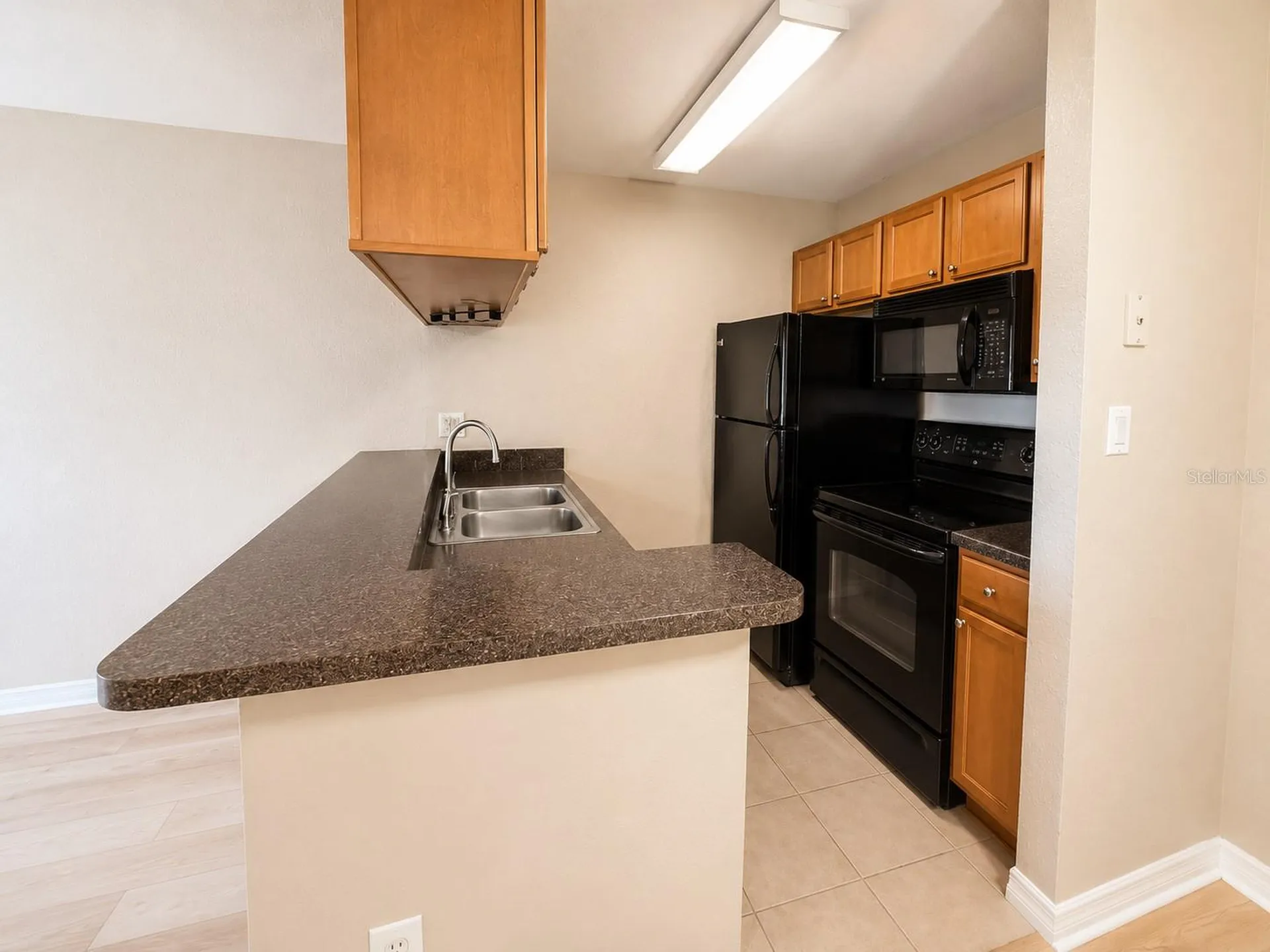 203 Lake Parsons Green Brandon FL 33511