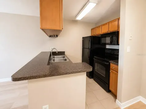 203 Lake Parsons Green Brandon FL 33511