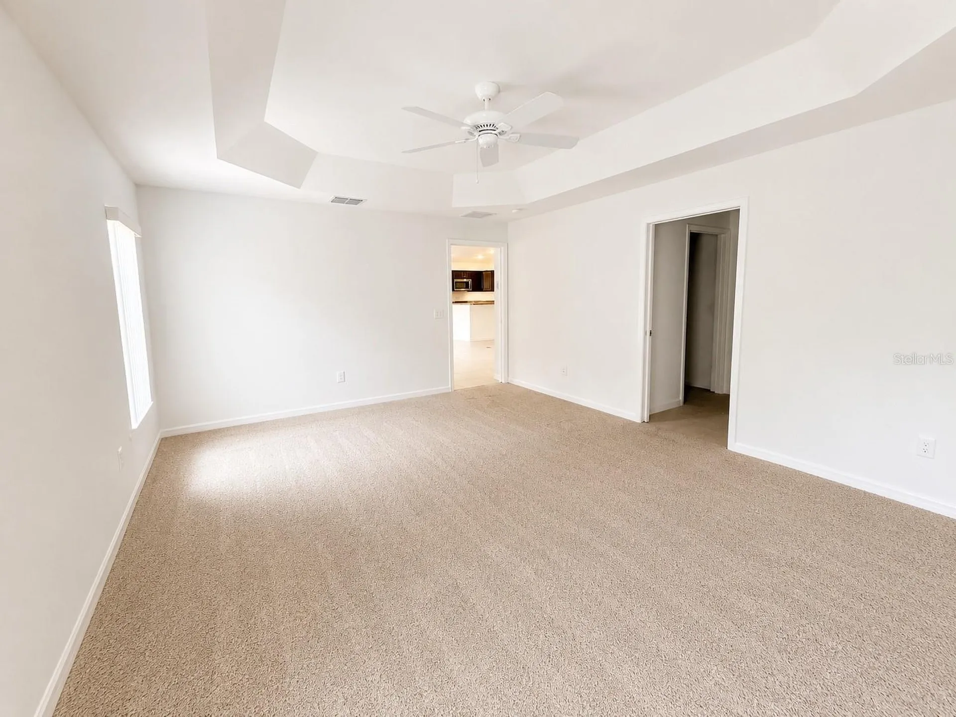 3942 Zenith Loop The Villages FL 32163